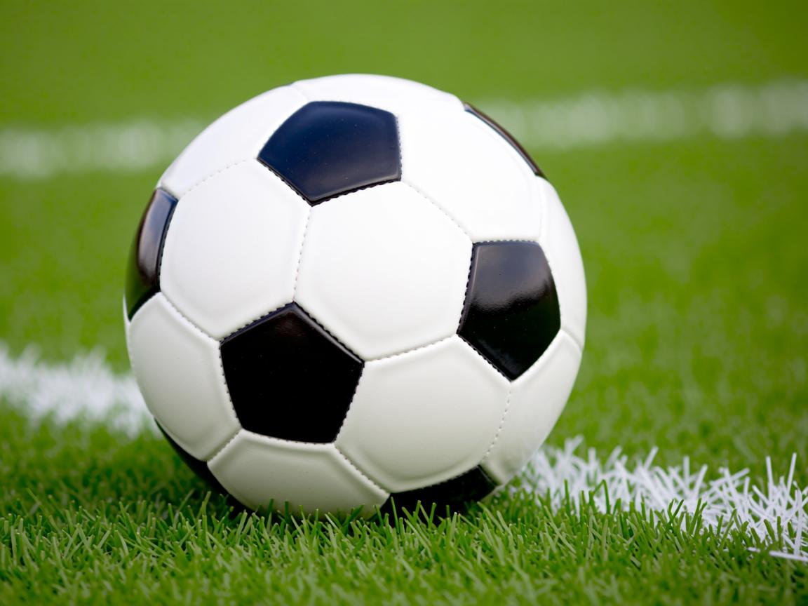 开云体育app官网-俱乐部运营未有效连接本地教育资源,俱乐部运营团队的作用 第2张